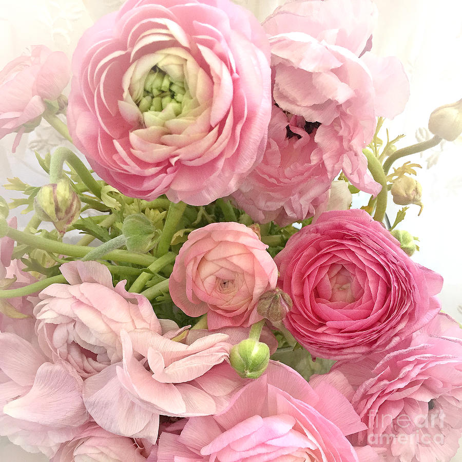 summer-garden-romantic-shabby-chic-peonies-roses-ranunculus-flowers-prints-wall-decor-kathy-fornal